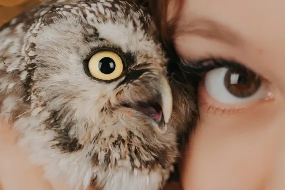 Tusk Kazino Atbalsts